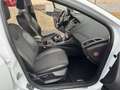 Ford Focus Titanium/Keyless Go/Navi/Temp./SHZ/Klima/PDC/Alu Wit - thumbnail 14