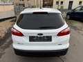Ford Focus Titanium/Keyless Go/Navi/Temp./SHZ/Klima/PDC/Alu Weiß - thumbnail 5