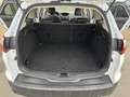 Ford Focus Titanium/Keyless Go/Navi/Temp./SHZ/Klima/PDC/Alu Weiß - thumbnail 15