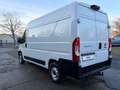 Fiat Ducato 120 L2H2 RS: 3450 mm Weiß - thumbnail 6