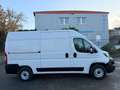 Fiat Ducato 120 L2H2 RS: 3450 mm Weiß - thumbnail 3