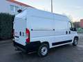 Fiat Ducato 120 L2H2 RS: 3450 mm Weiß - thumbnail 4
