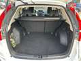 Honda CR-V 1.6 i-DTEC 160ch Executive Navi 4WD AT Blanc - thumbnail 14