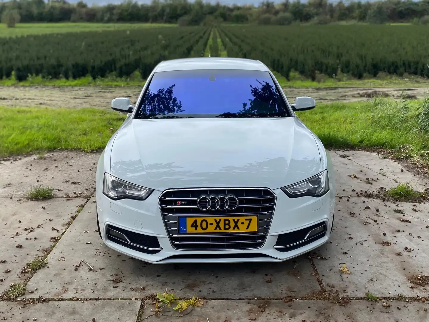 Audi A5 A5 1.8 TFSI Pro Line Wit - 1