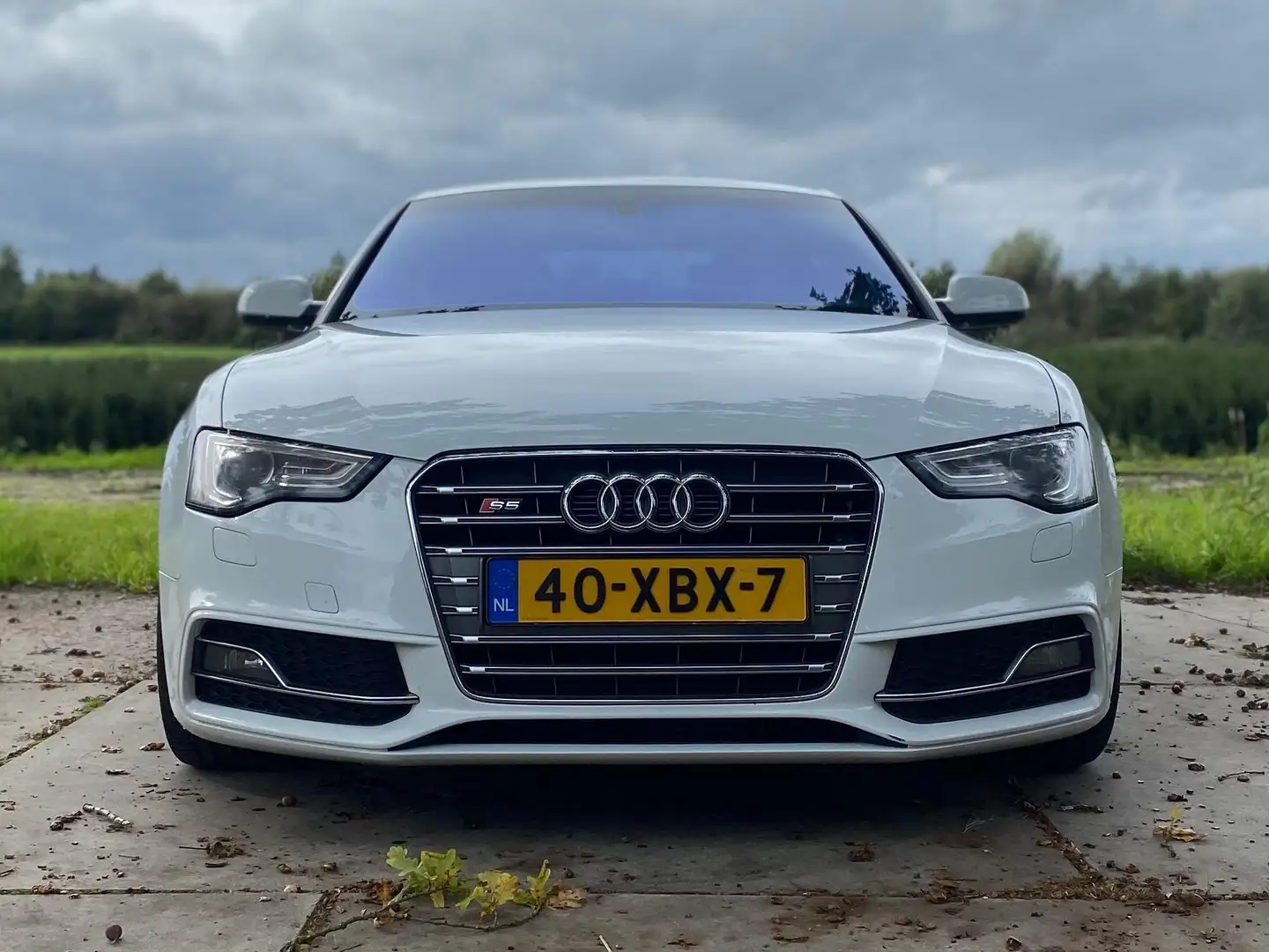 Audi A5 A5 1.8 TFSI Pro Line Wit - 2