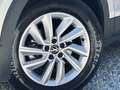 Volkswagen T-Cross T-Cross 2019 1.0 tsi Style 95cv Grigio - thumbnail 4