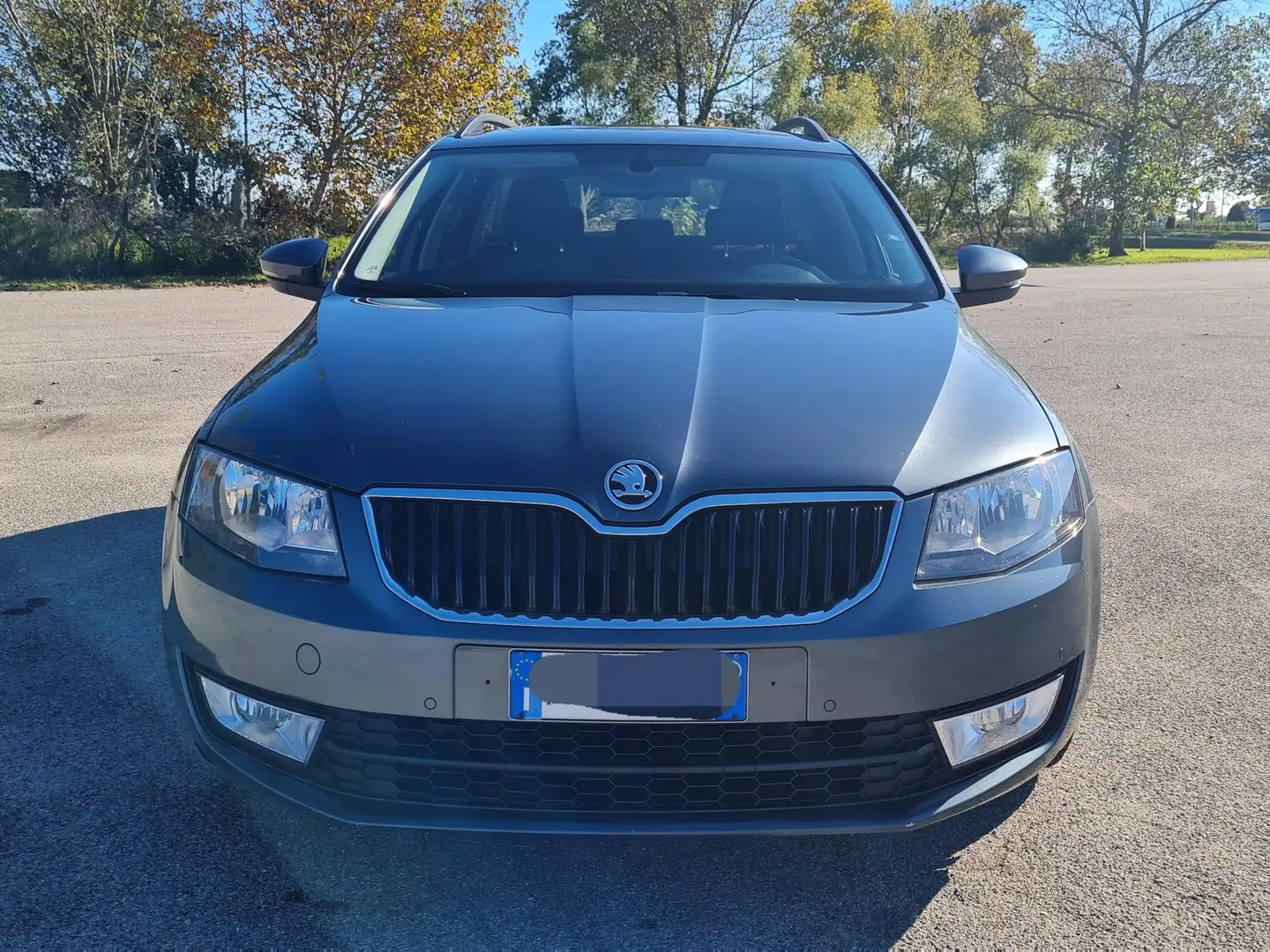 Skoda Octavia Octavia III Wagon Wagon 1.6 tdi Ambition 110cv dsg Grigio - 2