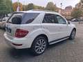 Mercedes-Benz ML 350 ML 350 cdi Grand edition auto E5 Bianco - thumbnail 6