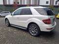 Mercedes-Benz ML 350 ML 350 cdi Grand edition auto E5 Bianco - thumbnail 4