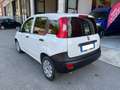 Fiat Panda Panda 1.0 GSE S&S Hybrid Van 2 posti Weiß - thumbnail 3