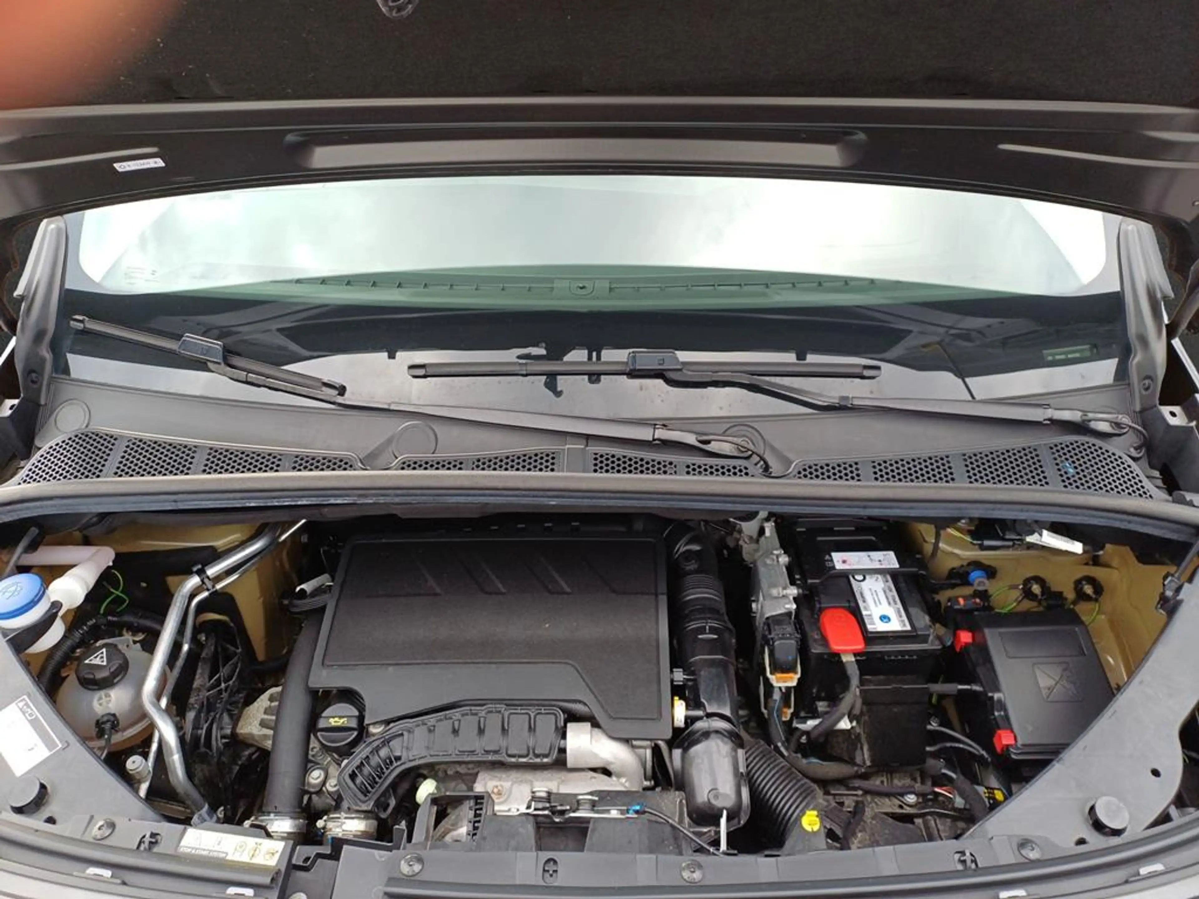 Citroen Berlingo Shine M — photo 5
