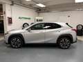 Lexus UX 200 250h 2.0 Premium 2wd cvt my20 Argento - thumbnail 5