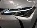 Lexus UX 200 250h 2.0 Premium 2wd cvt my20 Silber - thumbnail 16