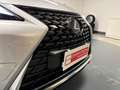 Lexus UX 200 250h 2.0 Premium 2wd cvt my20 Silber - thumbnail 17