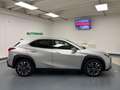 Lexus UX 200 250h 2.0 Premium 2wd cvt my20 Argento - thumbnail 6