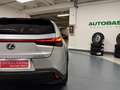 Lexus UX 200 250h 2.0 Premium 2wd cvt my20 Silber - thumbnail 24