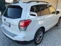 Subaru Forester Forester 2.0i-Luxury GPL Bianco - thumbnail 6