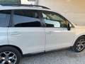 Subaru Forester Forester 2.0i-Luxury GPL Wit - thumbnail 7