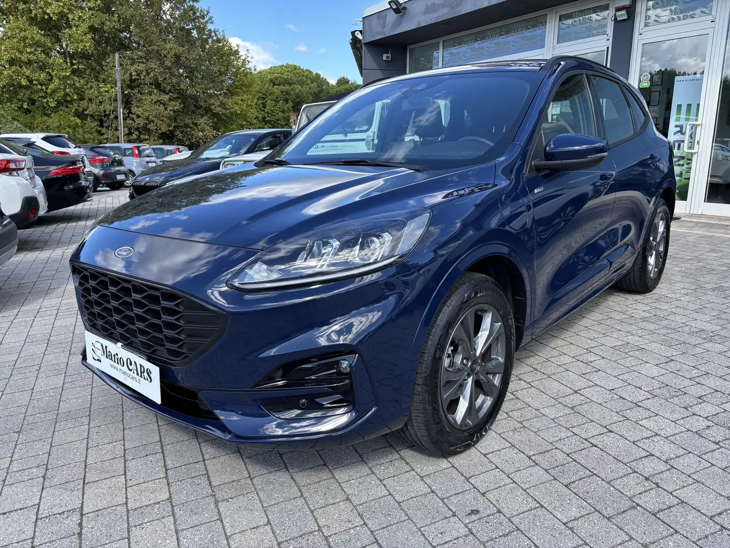 Ford Kuga Kuga 2.5 Plug In Hybrid 225 CV CVT 2WD ST-Line Bleu - 2