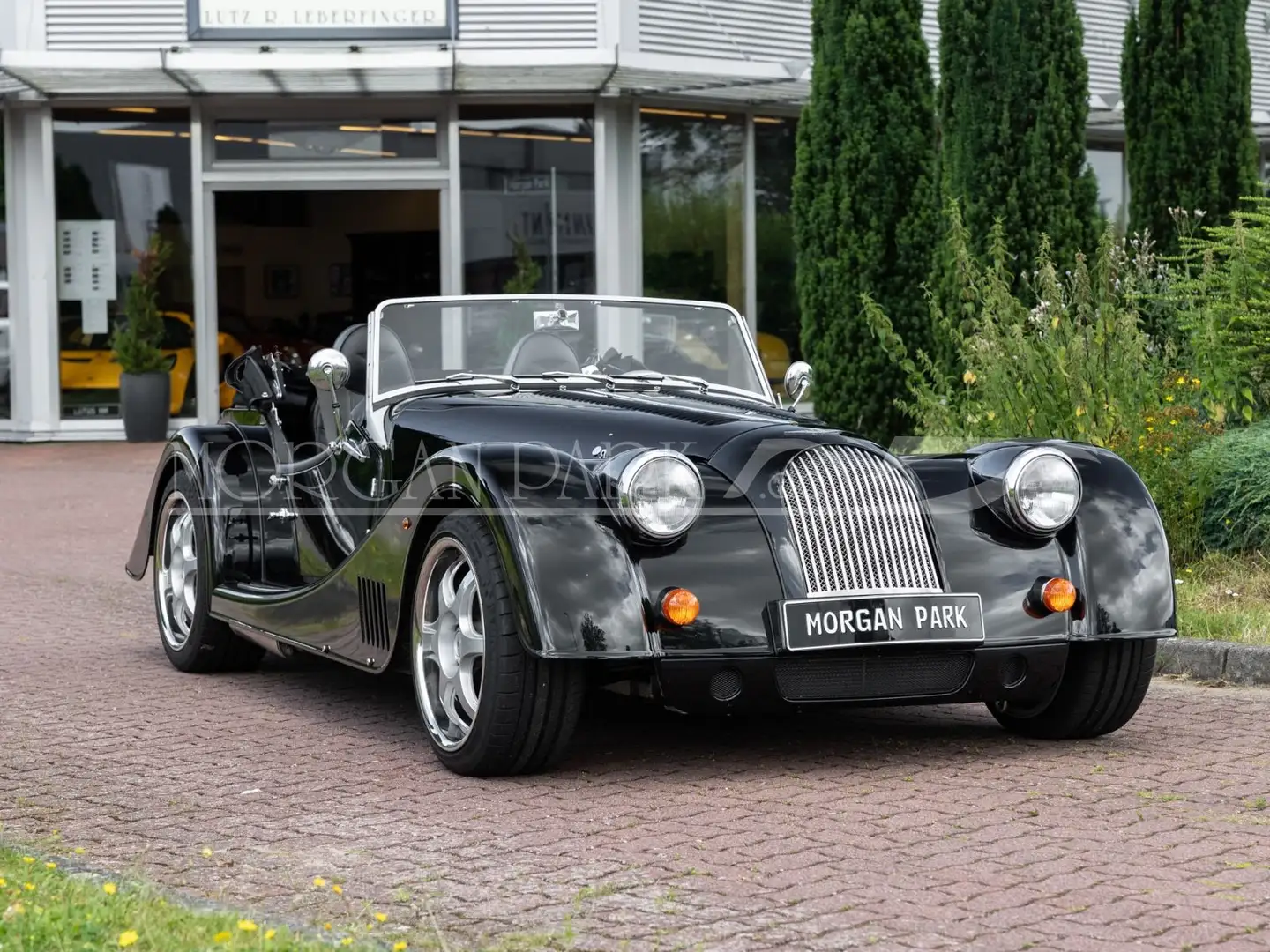 Morgan Plus 8 *Sport Black + Automatikgetriebe* Negru - 2