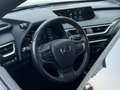 Lexus UX 250h Style+ Edition | Leder | Camera | Carplay | 18 inc Noir - thumbnail 9