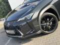 Lexus UX 250h Style+ Edition | Leder | Camera | Carplay | 18 inc Noir - thumbnail 27