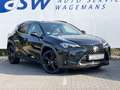 Lexus UX 250h Style+ Edition | Leder | Camera | Carplay | 18 inc Noir - thumbnail 4