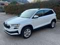 Skoda Karoq 2.0 TDI SCR 115 CV Selection Bianco - thumbnail 3