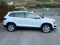 Skoda Karoq 2.0 TDI SCR 115 CV Selection Bianco - thumbnail 5