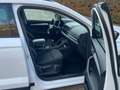 Skoda Karoq 2.0 TDI SCR 115 CV Selection Bianco - thumbnail 15