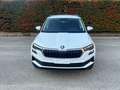 Skoda Karoq 2.0 TDI SCR 115 CV Selection Bianco - thumbnail 1
