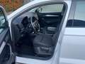 Skoda Karoq 2.0 TDI SCR 115 CV Selection Bianco - thumbnail 12