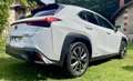 Lexus UX 250h 2WD F SPORT Executive - thumbnail 4