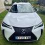 Lexus UX 250h 2WD F SPORT Executive - thumbnail 1
