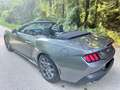 Ford Mustang Mustang 5.0 Ti-VCT V8 Aut. GT CABRIO Grau - thumbnail 7