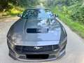 Ford Mustang Mustang 5.0 Ti-VCT V8 Aut. GT CABRIO Grau - thumbnail 9