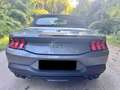Ford Mustang Mustang 5.0 Ti-VCT V8 Aut. GT CABRIO Grau - thumbnail 4