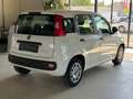 Fiat Panda Base Klima, 1.Besitz Wit - thumbnail 3