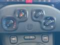 Fiat Panda Base Klima, 1.Besitz Wit - thumbnail 9
