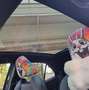 Toyota Yaris Cross Yaris Cross 1,5 VVT-i Hybrid Style Aut. Style Grün - thumbnail 12