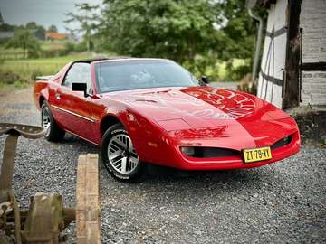 Firebird 3.1 Sport