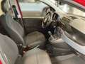 Fiat Panda /Pandina MY25 Rot - thumbnail 5
