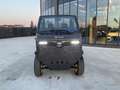 Tazzari EV Sonstige 80 Grau - thumbnail 23