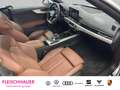 Audi A5 Cabriolet 40 TFSI quattro Matrix-LED Kamera Silber - thumbnail 19