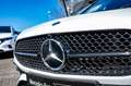 Mercedes-Benz A 200 A 200 AMG Line 19" NIGHT DISTRONIC MULTIBEAM Weiß - thumbnail 27