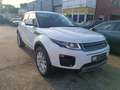 Land Rover Range Rover Evoque TD4 Aut. SE Dynamic,4x4,NAVI,KAMERA+PDC,ALU,1HAND Weiß - thumbnail 3