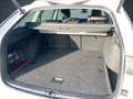 Skoda Octavia Combi 2.0 TDI DSG Tour /AHK. PANO. CANTON Weiß - thumbnail 12