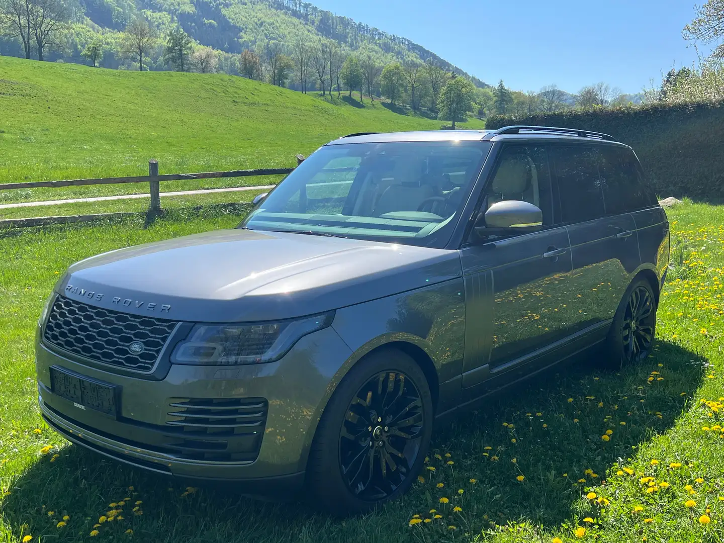 Land Rover Range Rover Range Rover 3,0 TDV6 HSE Aut. Grau - 2