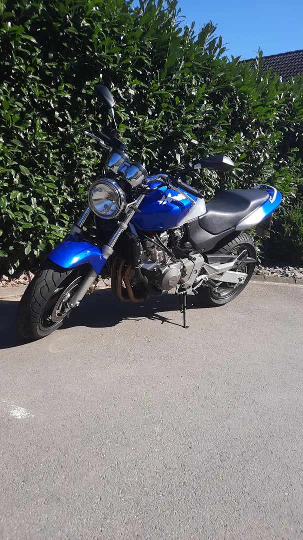 Honda CB 600 Hornet Синій - 1