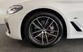 BMW 530 d xDrive M Sport-Paket RFK*TOTW.*ACC*AHK*HU*18ZOLL Weiß - thumbnail 12